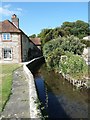 SU8003 : Bosham Stream flows past Mill House, Bosham by Rob Farrow