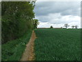 TM3685 : Footpath And Field Boundary by Keith Evans