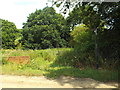 TM1827 : Public footpath near Great Oakley by Malc McDonald