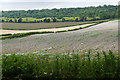 TQ0548 : Fields near the Albury Downs by Alan Hunt