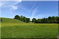 SE7984 : Field and woodland near Newbridge by David Smith