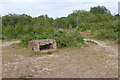 SU8159 : Scrubland, Yateley Common by Alan Hunt