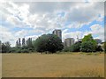 TQ3682 : Millennium Park, Mile End by Paul Gillett