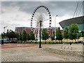 SJ3489 : The Liverpool Wheel by David Dixon