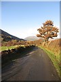 NY2319 : Narrow road through Newlands Valley by Graham Robson