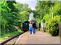 SD7914 : Waiting at Summerseat Station by David Dixon