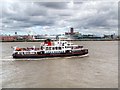 SJ3389 : Mersey Ferry 'MV Royal Iris of the Mersey' by David Dixon