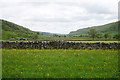 SD9574 : Dry stone walls in the valley bottom of Wharfedale by Bill Boaden