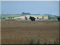 TL4177 : The Fens looking towards North Hill and Haddenham by Richard Humphrey