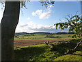 NS9872 : Verge and fields near Cathlaw House by Alan O'Dowd