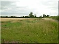 SK3238 : Cereal crop near Mackworth by Alan Murray-Rust