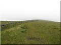 SD9472 : Grassland on Old Cote Little Moor by Graham Robson