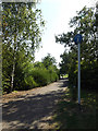 TL0652 : Path in Mowsbury Park by Geographer