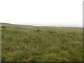 SD9472 : Grassland on Old Cote Little Moor by Graham Robson