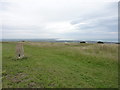 TQ5700 : Willingdon Hill summit and trig point by Richard Law