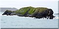 V9723 : Illauneana and Shags, Cape Clear Island by Becky Williamson