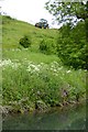 SE8564 : Spraying the grassland at Wharram Percy by David Smith