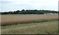 TL0986 : Remains of missile bunker at RAF/USAAF Polebrook by Richard Humphrey