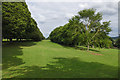 SU8347 : Tree avenue, Farnham Park by Alan Hunt