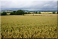 SP0429 : Wheat fields and heavy clouds by Bill Boaden