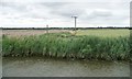 TM4796 : Route of a drain, Wheatacre Marshes [1] by Christine Johnstone