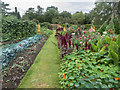 TQ1478 : Vegetables, Kitchen Garden, Osterley Park, London by Christine Matthews