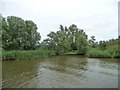 TM5094 : Outfall of The Fleet, Suffolk bank, River Waveney by Christine Johnstone