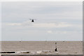 TM1713 : Chinook, Clacton Air Show 2015, Essex by Christine Matthews