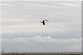 TM1713 : Chinook, Clacton Air Show 2015, Essex by Christine Matthews