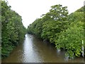 SX3680 : The River Tamar upstream of Greystone Bridge by David Smith