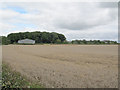 SE3439 : Wheatfield with large barn by Stephen Craven