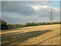 TQ4362 : Pylon line crossing valley north of Downe by Christopher Hilton