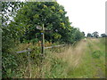 SE7908 : Signpost at a path junction by Graham Hogg