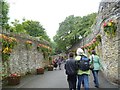 SS7149 : Pathway to Lynton by Oliver Mills