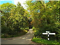 TQ0499 : Country lanes near Sarratt by Malc McDonald