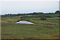 TM4974 : Looking to Dunwich River on Lampland Marsh by Roger Jones