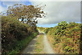 SH3369 : The Anglesey Coastal Path at Llangwyfan-isaf by Jeff Buck