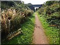 SK6458 : Bridge ahead on the Southwell Trail by Steve  Fareham