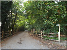  : Access road on Chipperfield Common by Malc McDonald