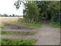 SK6955 : Farm track crossing the Southwell Trail by Steve  Fareham