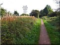 SK6457 : Power lines alongside the Southwell Trail by Steve  Fareham