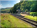 SD7920 : Irwell Vale Railway Halt by David Dixon