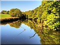 SD7913 : River Irwell Above the Weir at Burrs by David Dixon