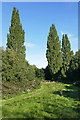 TQ0967 : Three Poplars, Shepperton by Alan Hunt