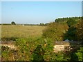 SK6072 : Carburton Water Meadows by Alan Murray-Rust