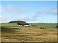 NY9179 : Moorland on east side of A68 near to Cowden by Trevor Littlewood