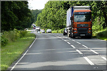  : Poet Larry-at on the A134 in Thetford Forest by David Dixon