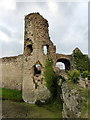 TQ6404 : Pevensey Castle by PAUL FARMER