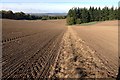 ST8041 : Farmland near Horningsham by James Harrison