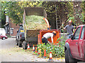 SP9211 : Pollarding the Churchyard Trees at Tring (3) Shredding the branches by Chris Reynolds